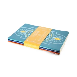 Critical Role Beauty of Exandria: The Archives - Libraries of Exandria Notebooks 3-Pack- Journals